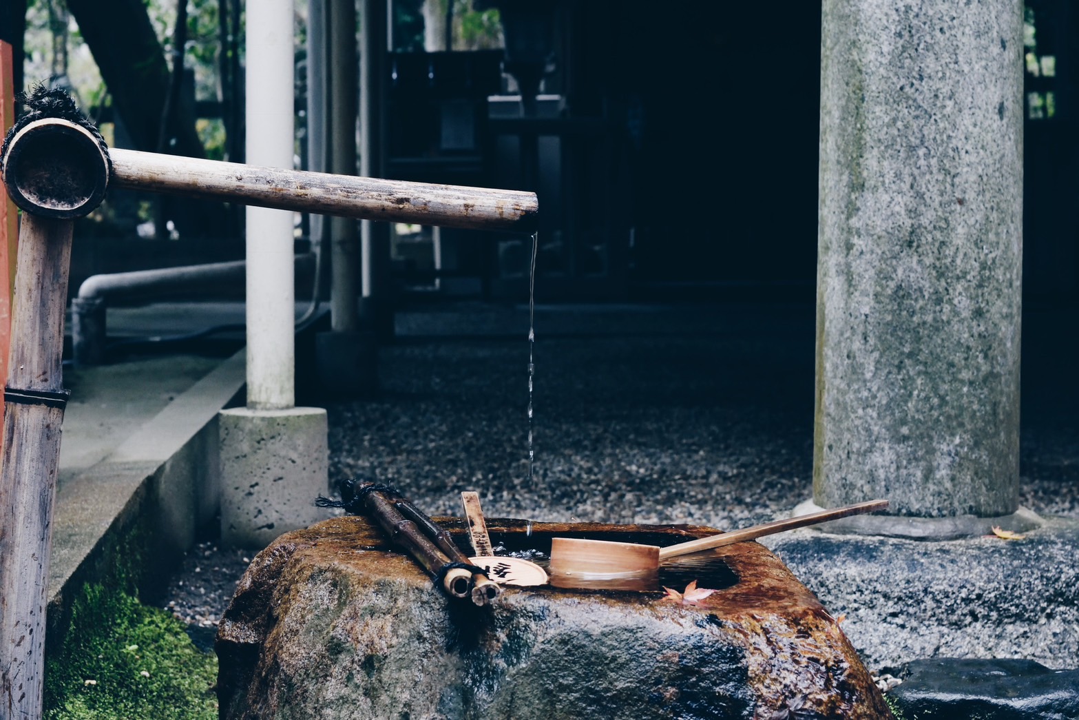 京都で撮影した写真